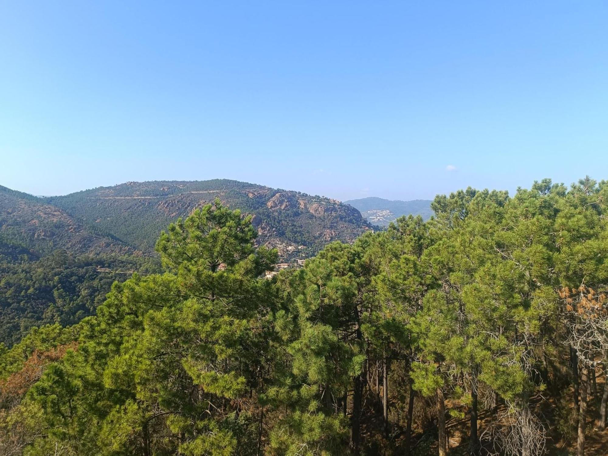 Magnifique Vue Mer Et Piscine - Les Cles De L Esterel Theoule-sur-Mer Exterior photo